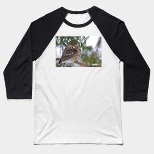 Sleeping Northern Saw Whet Owl - Ottawa, Ontario Baseball T-Shirt